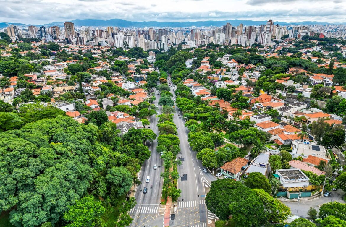Cidade de São Paulo ganhar prêmio da ONU por políticas de arborização e preservação da vegetação urbana