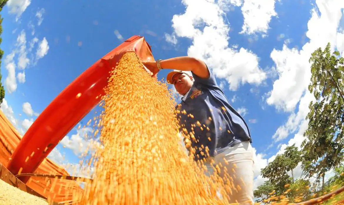 Safra de grãos 2025/2026 pode superar recorde histórico, aponta Conab