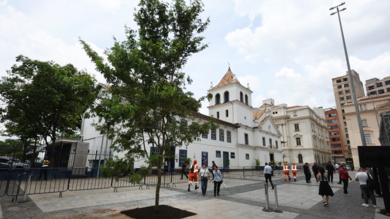 Prefeitura atinge marca histórica ao plantar árvore 120 mil em um único ano