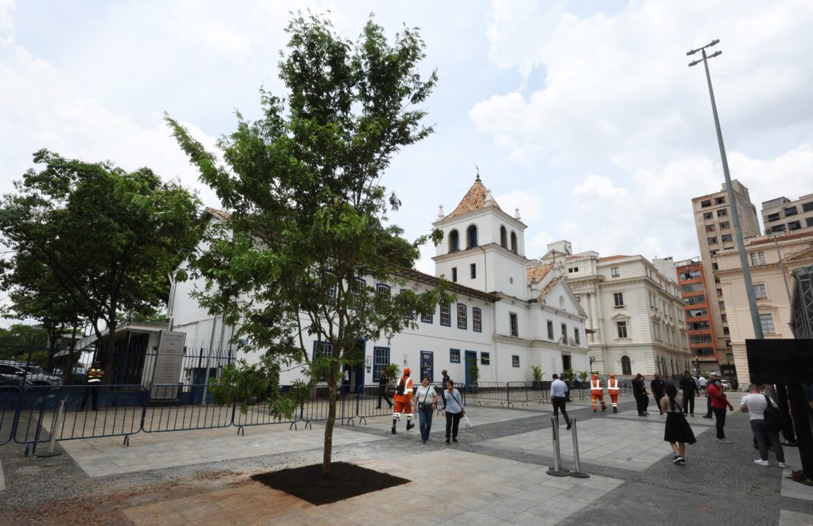 Prefeitura atinge marca histórica ao plantar árvore 120 mil em um único ano