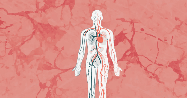 Estudo mostra que consumo excessivo de proteínas pode causar doenças cardiovasculares