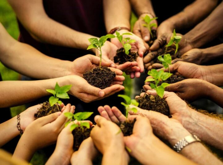 Sustentabilidade: Novas diretrizes do Programa Município Verde Azul em SP