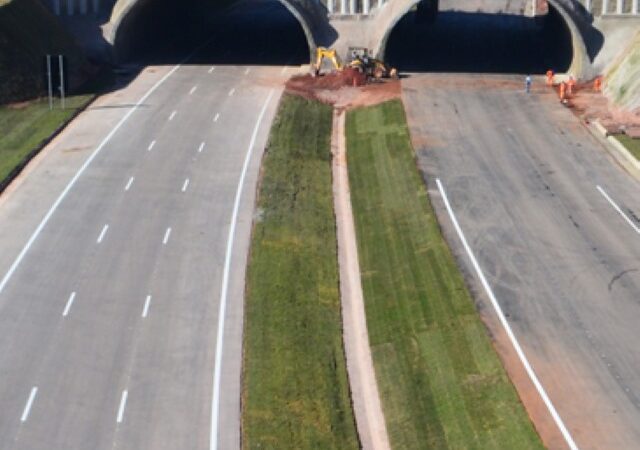 Corpus Christi: rodovias concedidas de SP devem receber 2,6 milhões de veículos