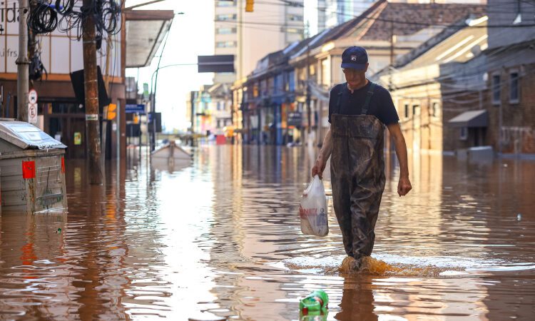 Conheça a toxoplasmose, transmitida por água e alimentos contaminados