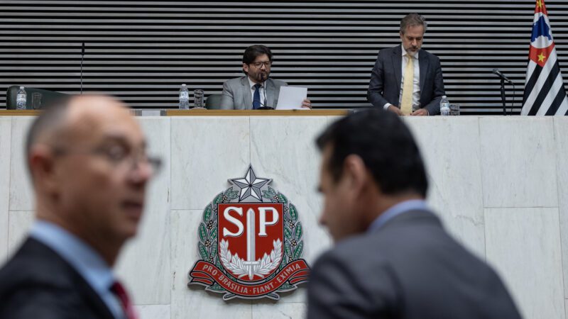 Educação, Saúde, Segurança e Cidadania: Alesp aprova 78 projetos no 1° semestre de 2024