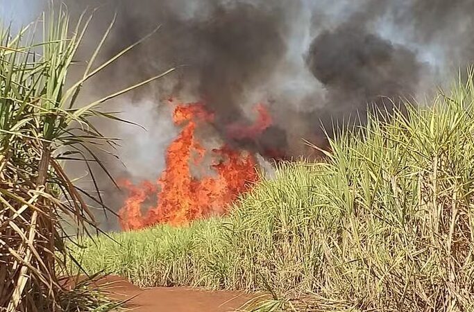 Região de Piracicaba tem maior nº de queimadas em 3 anos e estado de alerta para novas ocorrências