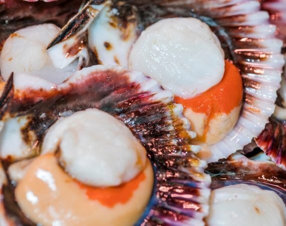 SP reverte suspensão de consumo de moluscos bivalves, como mariscos e ostras