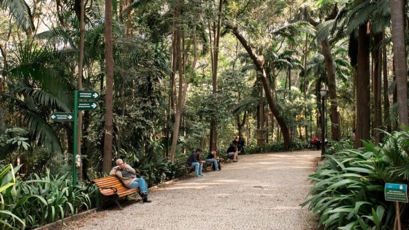 SP abre consulta pública sobre uso de parques na capital e na Grande São Paulo