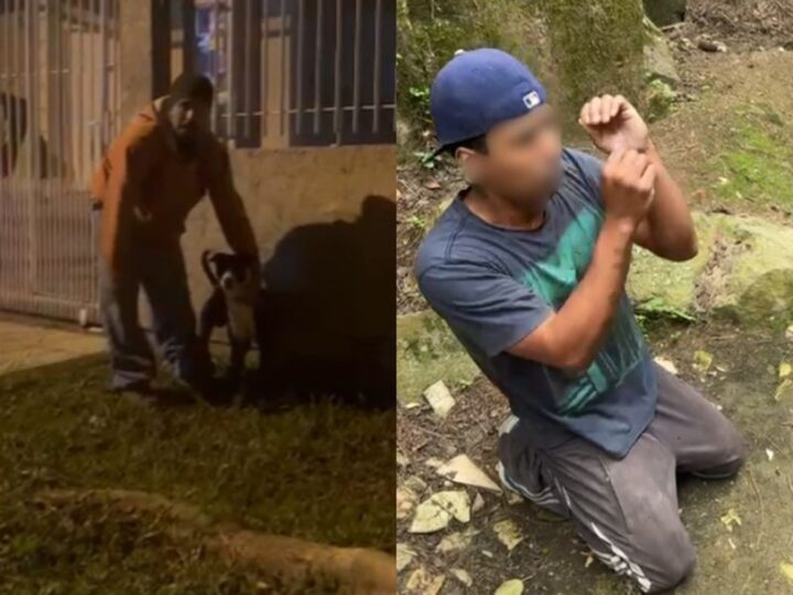 Vídeo: ‘Nunca mais vou fazer’: Homem abusa de cachorro e leva ‘surra’ de traficantes