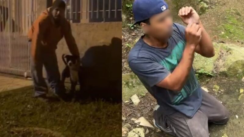 Vídeo: ‘Nunca mais vou fazer’: Homem abusa de cachorro e leva ‘surra’ de traficantes