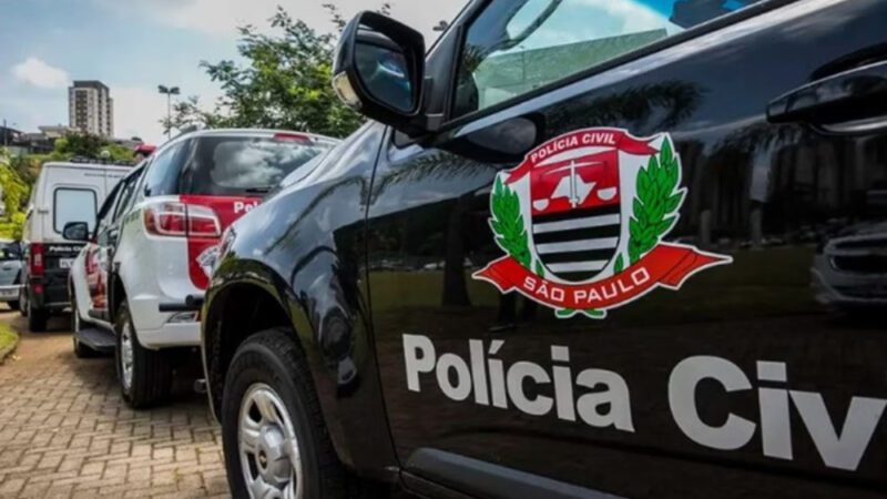 Operação conjunta da Polícia Civil de SP e do MP combate rede criminosa de exploração sexual infantil