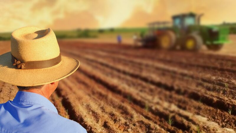 Banco do Povo libera mais de R$ 21 milhões em crédito para fomentar o empreendedorismo rural em SP