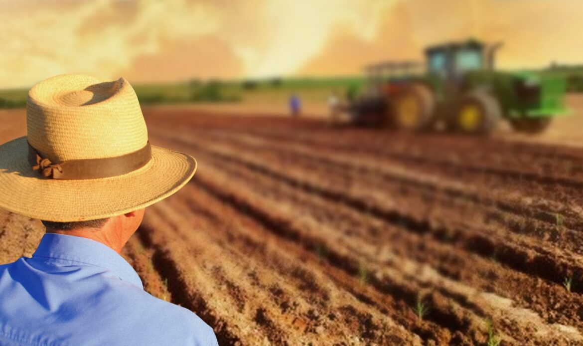 Banco do Povo libera mais de R$ 21 milhões em crédito para fomentar o empreendedorismo rural em SP