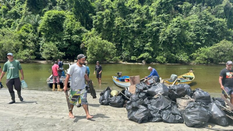 Programa Mar sem Lixo retira 32 toneladas de resíduos de oceanos e manguezais de SP