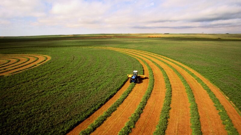 São Paulo consolida liderança nas exportações brasileiras do agronegócio em 2024