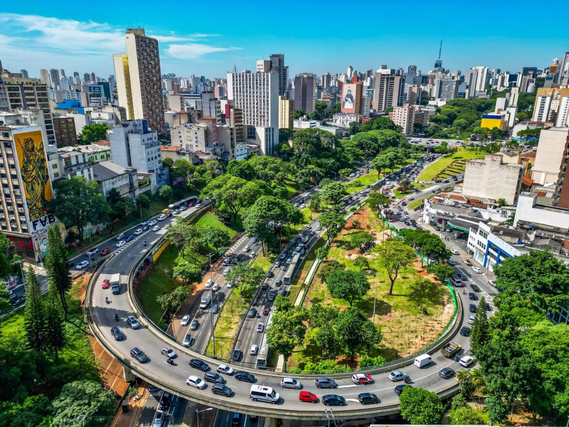 Prefeitura anuncia 50 bosques urbanos, plantio de 120 mil árvores e transplante de espécies adultas